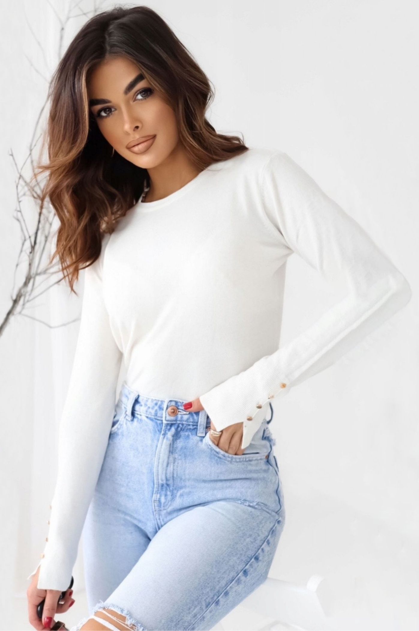 Προηγούμενο προϊόν