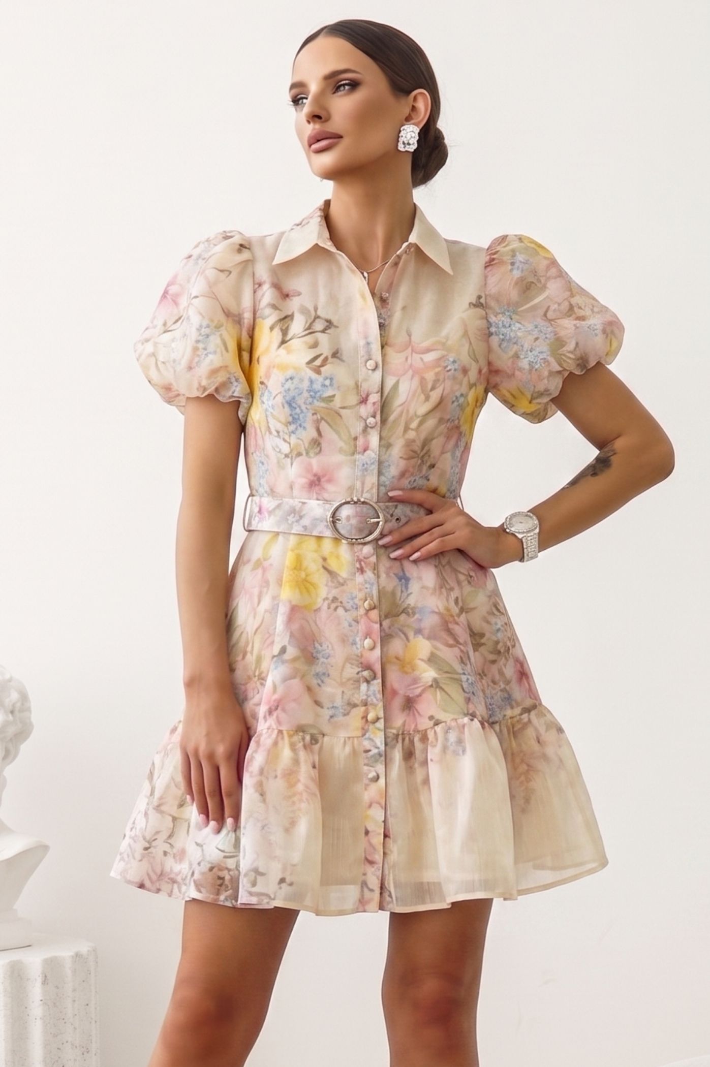 Προηγούμενο προϊόν