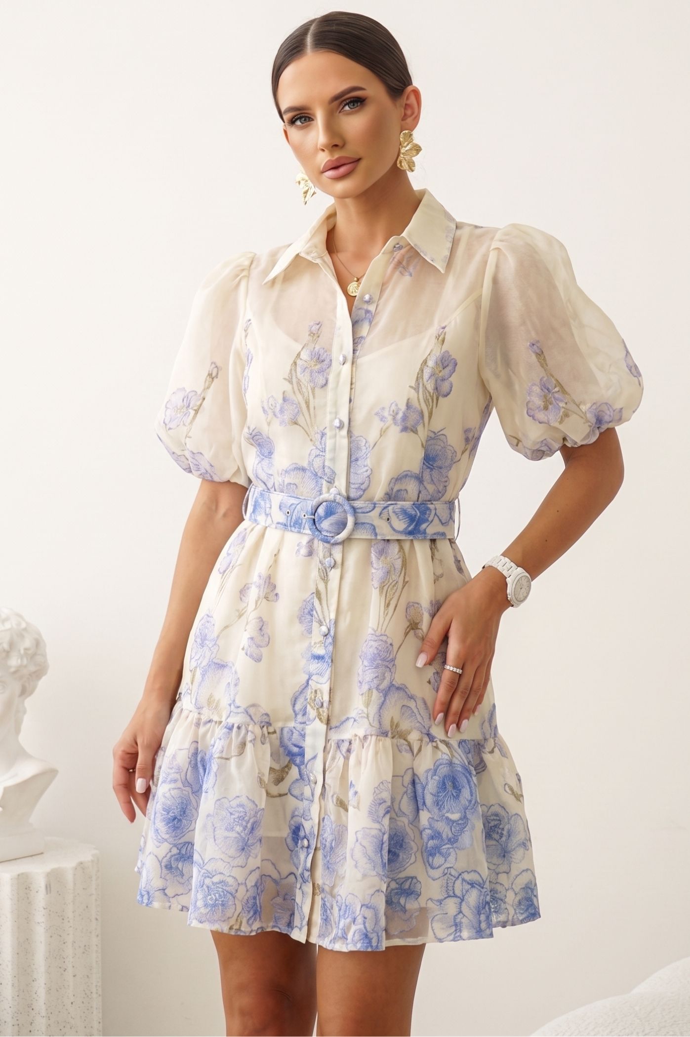 Προηγούμενο προϊόν