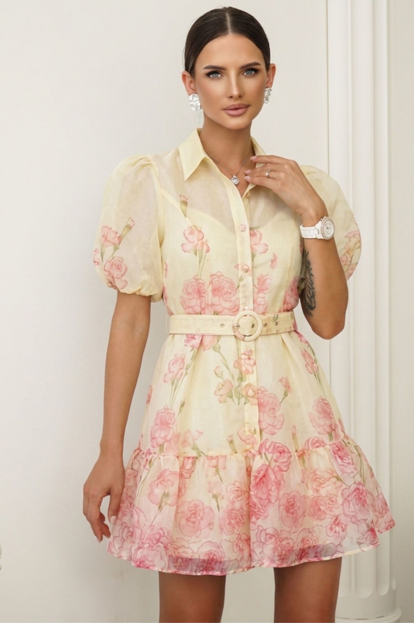 Προηγούμενο προϊόν